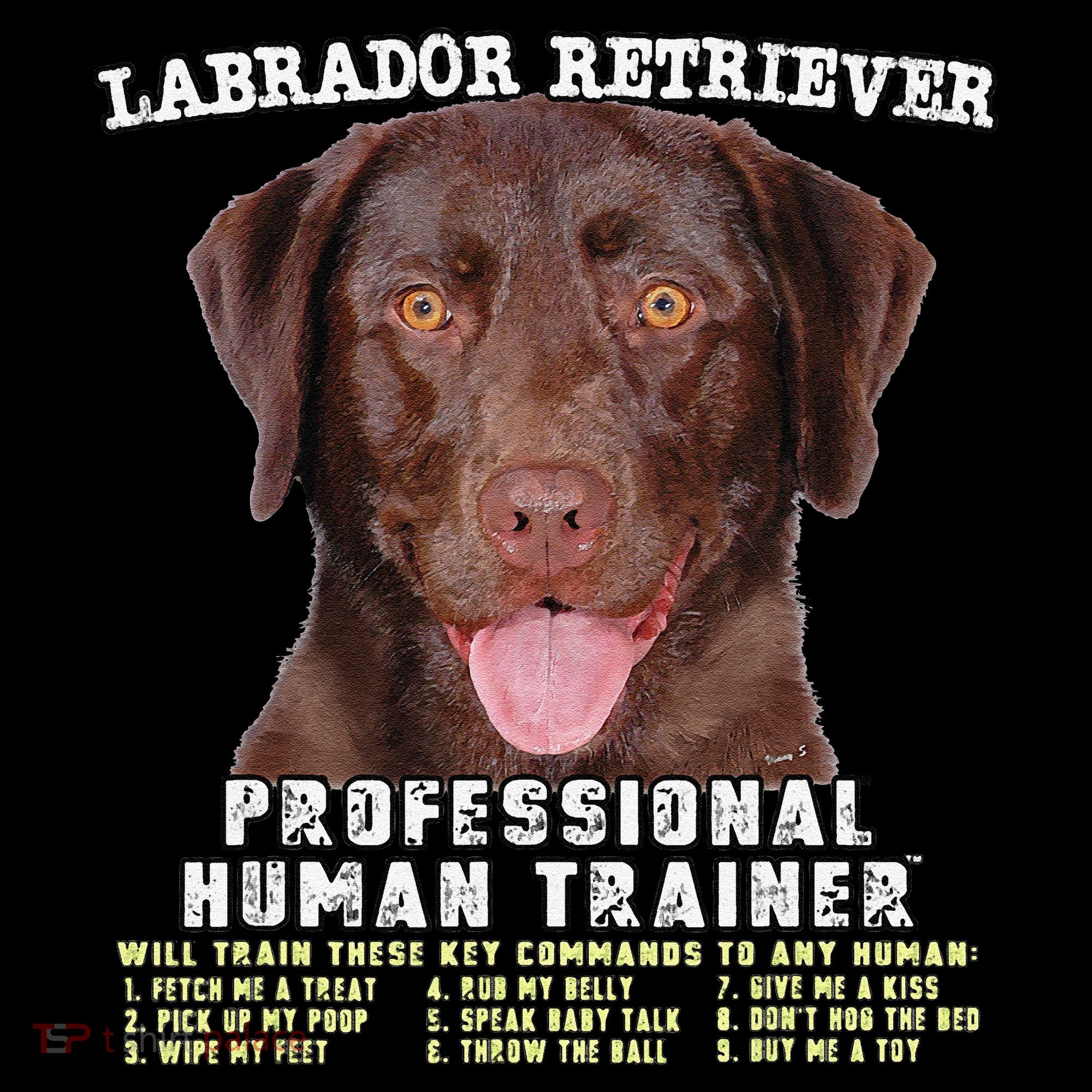 Labrador Retriever Chocolate Lab Professional Human Trainer Cute Dog Coffee Mug