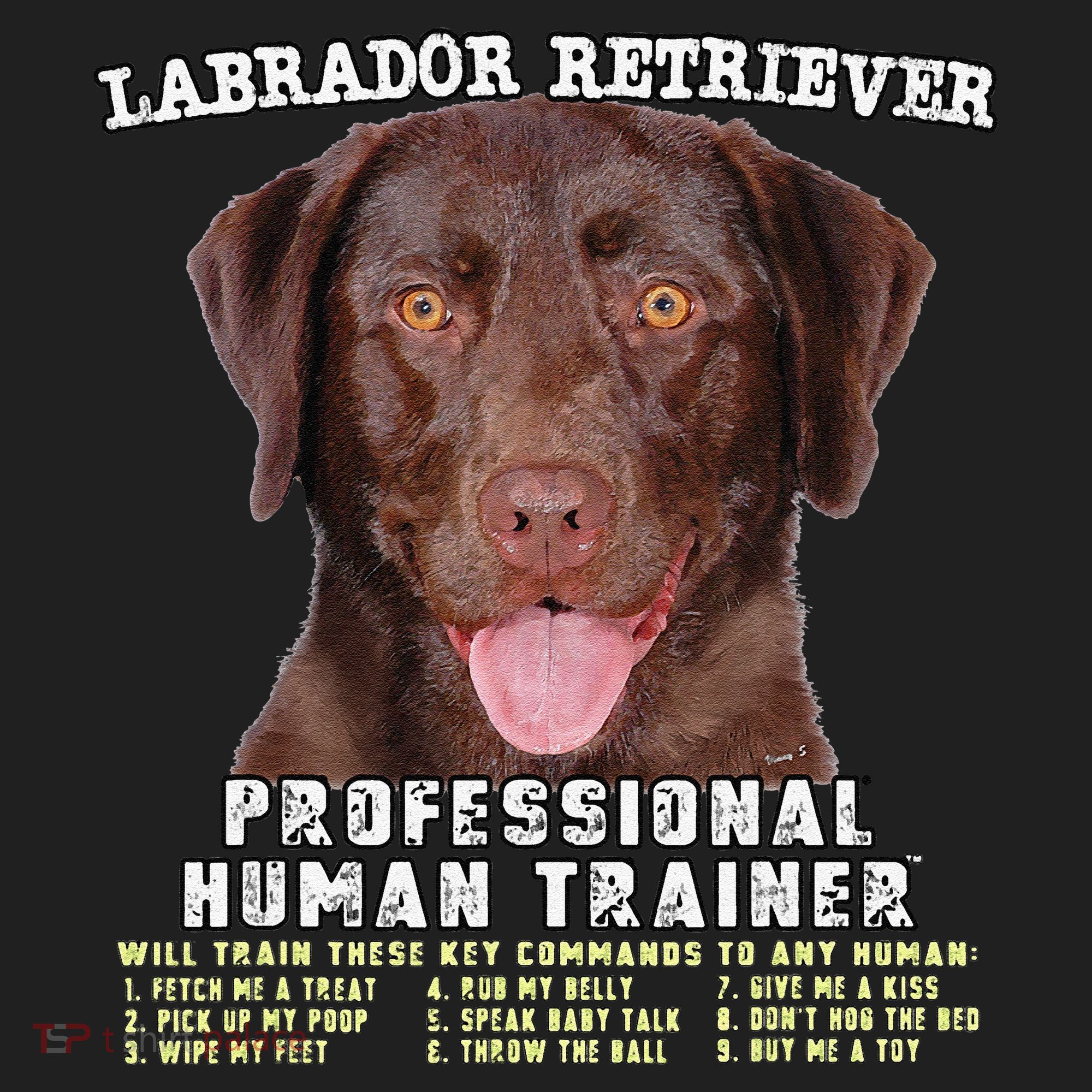Labrador Retriever Chocolate Lab Professional Human Trainer Cute Dog Beanie