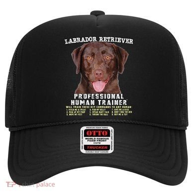 Labrador Retriever Chocolate Lab Professional Human Trainer Cute Dog Hat
