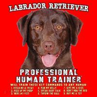 Labrador Retriever Chocolate Lab Professional Human Trainer Cute Dog Santa Hat thumb 1