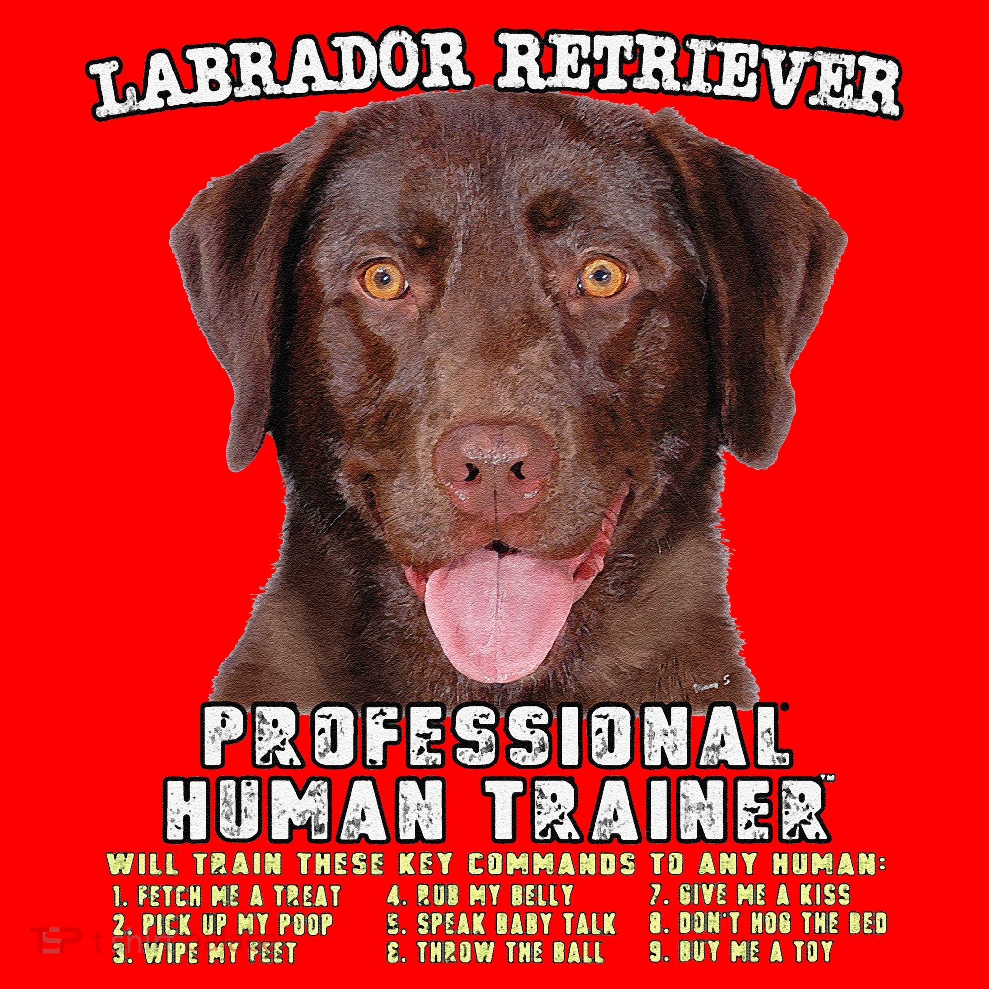 Labrador Retriever Chocolate Lab Professional Human Trainer Cute Dog Santa Hat