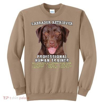 Labrador Retriever Chocolate Lab Professional Human Trainer Cute Dog Sweatshirt