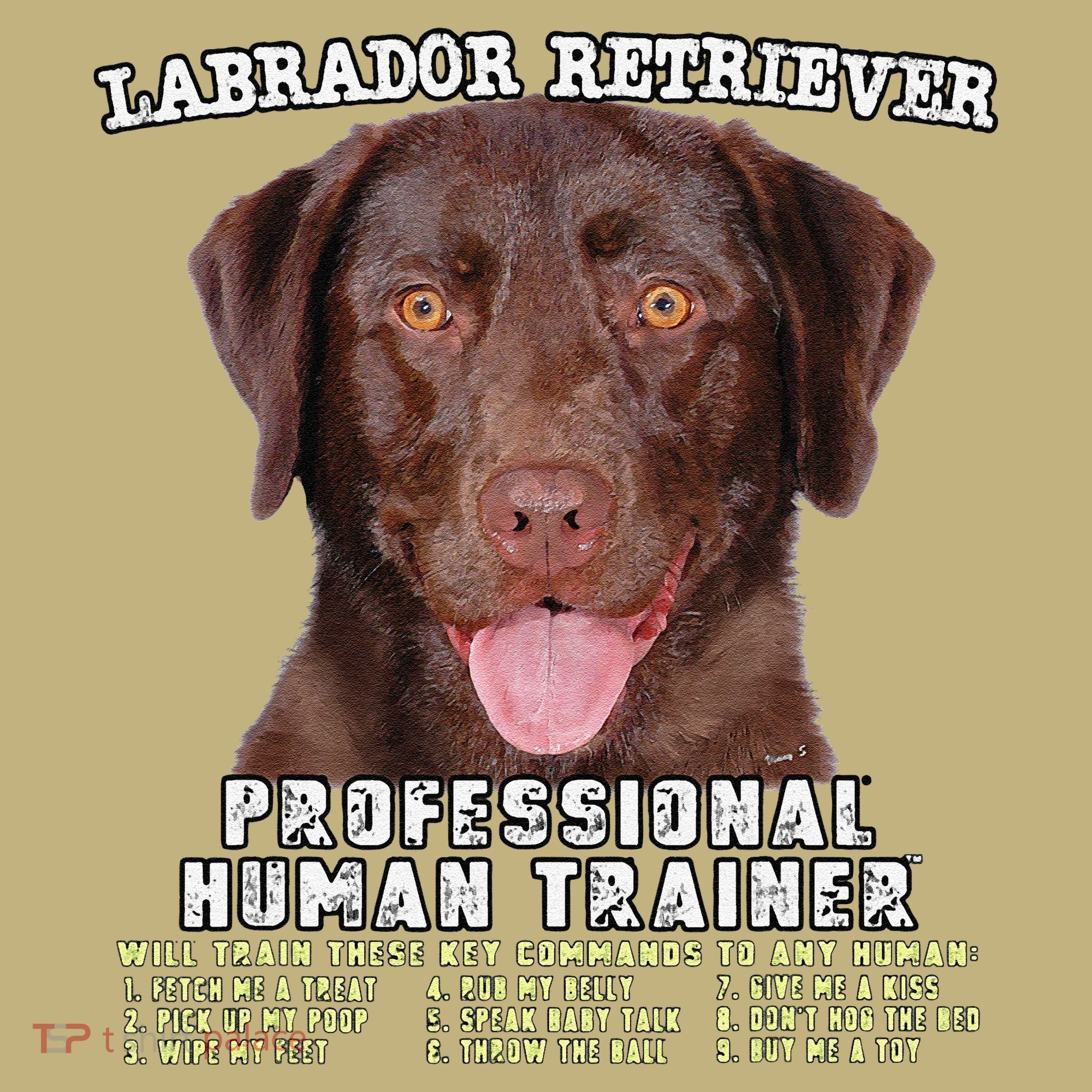 Labrador Retriever Chocolate Lab Professional Human Trainer Cute Dog Sweatshirt