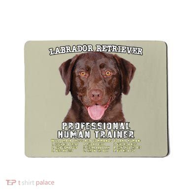 Labrador Retriever Chocolate Lab Professional Human Trainer Cute Dog Mousepad