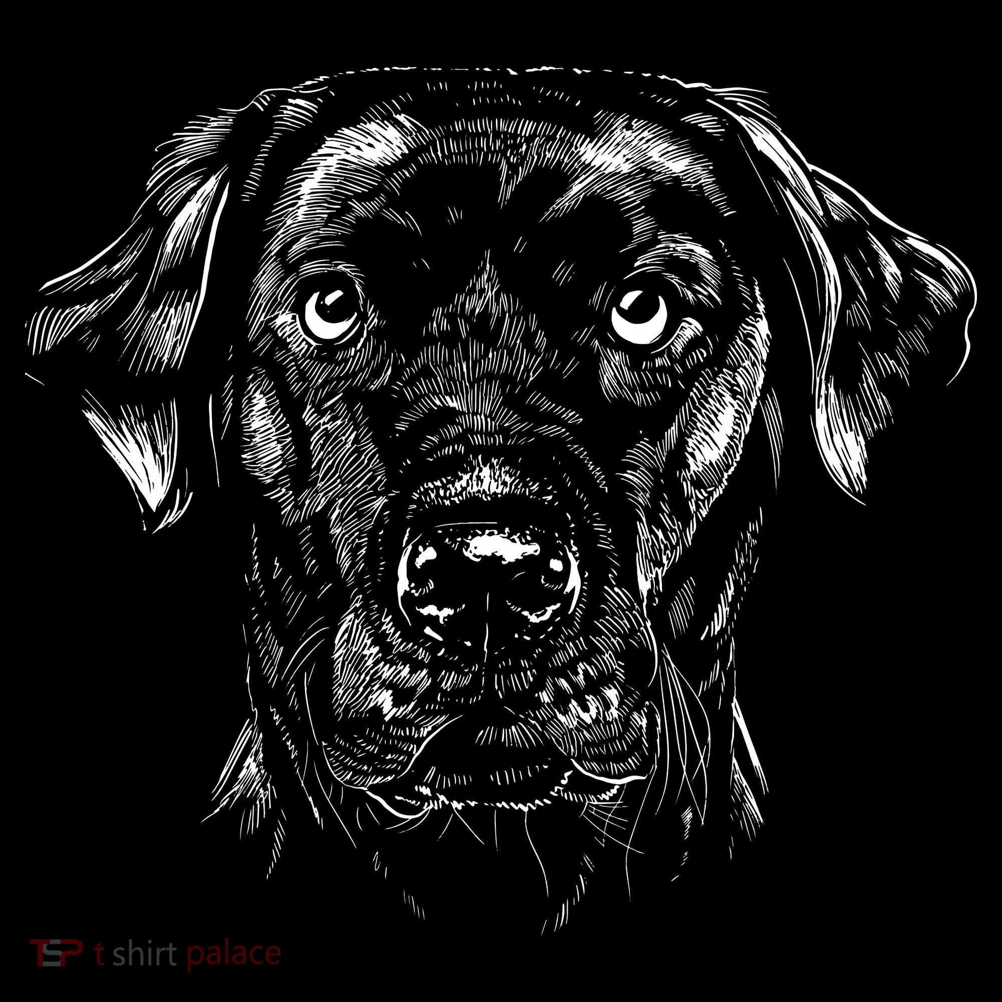 Labrador Retriever Dog Tall Sweatshirt