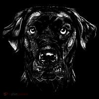 Labrador Retriever Dog Women's T-Shirt thumb 6