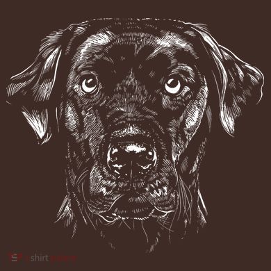 Labrador Retriever Dog Coaster