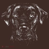 Labrador Retriever Dog Cooling Performance Long Sleeve Crew thumb 2