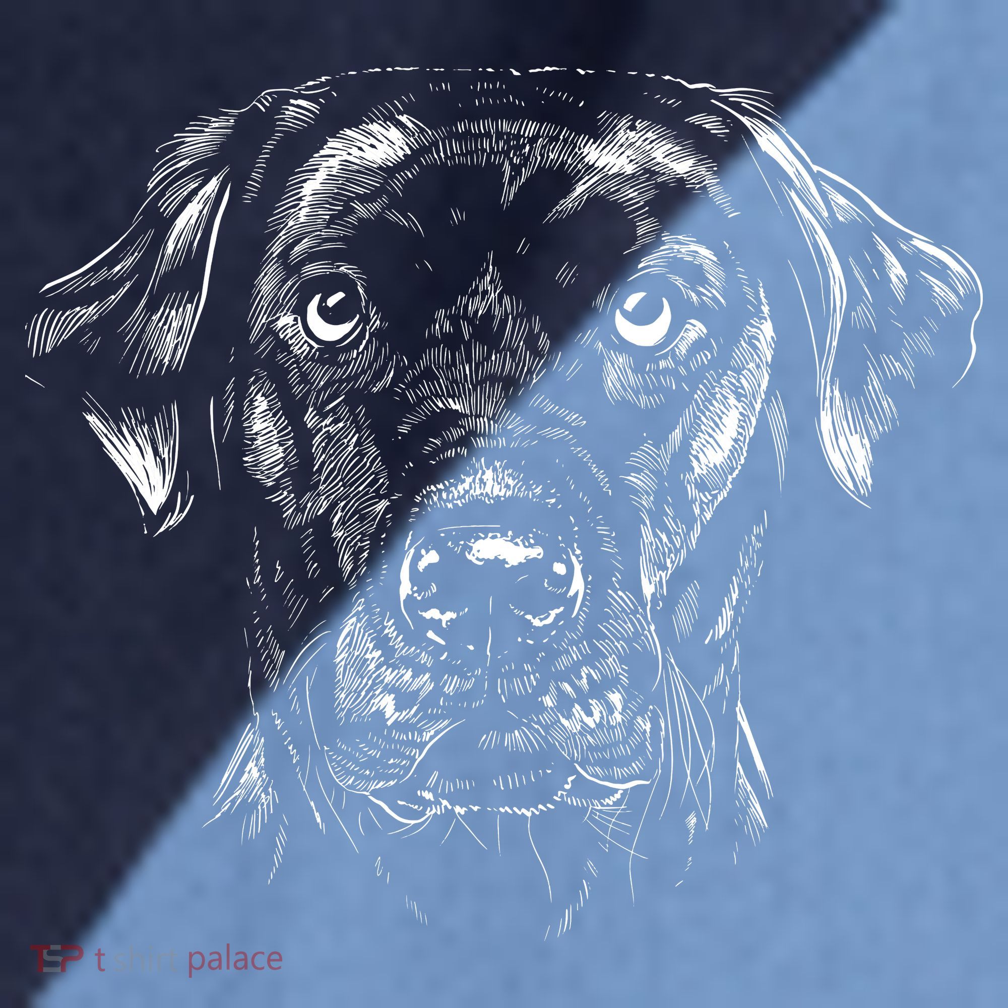 Labrador Retriever Dog Raglan Baseball Sleeve Shirt