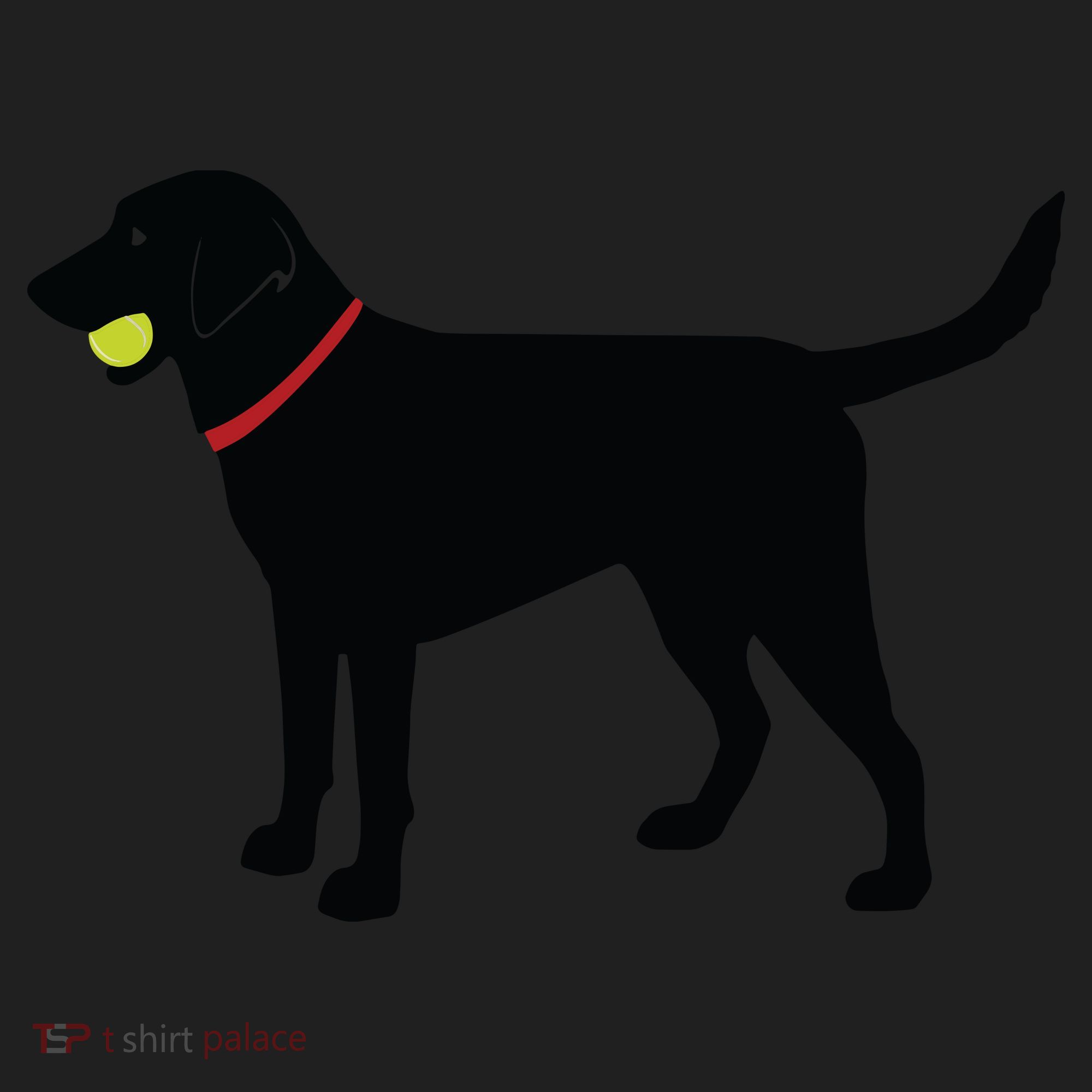 Labrador Retriever Fetch Black Lab Play Ball Women's Sweatshirt