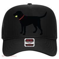 Labrador Retriever Fetch Black Lab Play Ball Hat thumb 0