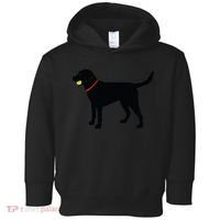 Labrador Retriever Fetch Black Lab Play Ball Toddler Hoodie thumb 0
