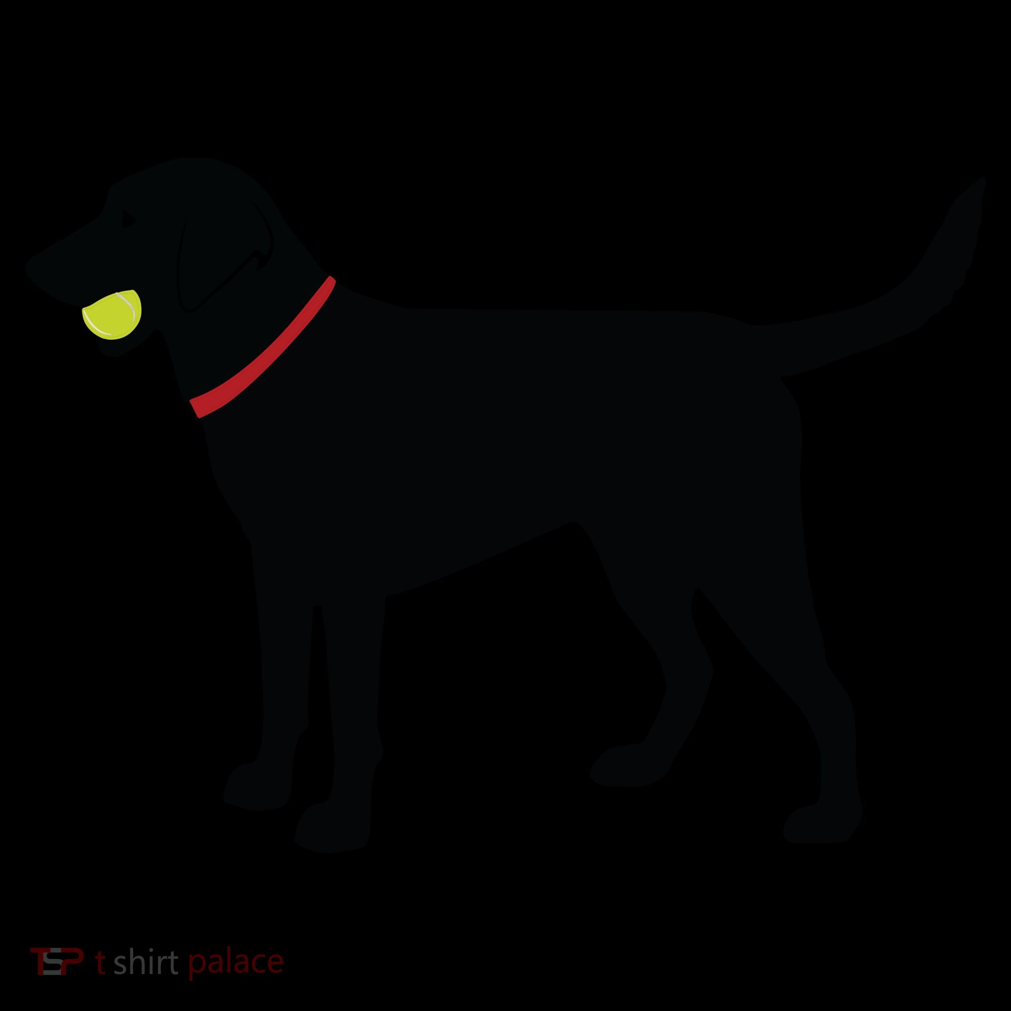 Labrador Retriever Fetch Black Lab Play Ball Visor
