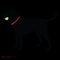 Labrador Retriever Fetch Black Lab Play Ball Women's Long Sleeve Shirt thumb 2