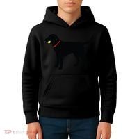 Labrador Retriever Fetch Black Lab Play Ball Kids Hoodie thumb 4