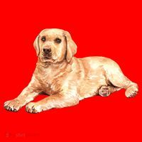 Labrador Retriever Santa Hat thumb 1