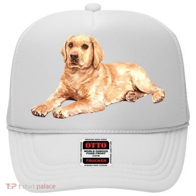 Labrador Retriever Hat