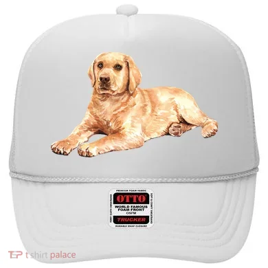 Labrador Retriever Hat