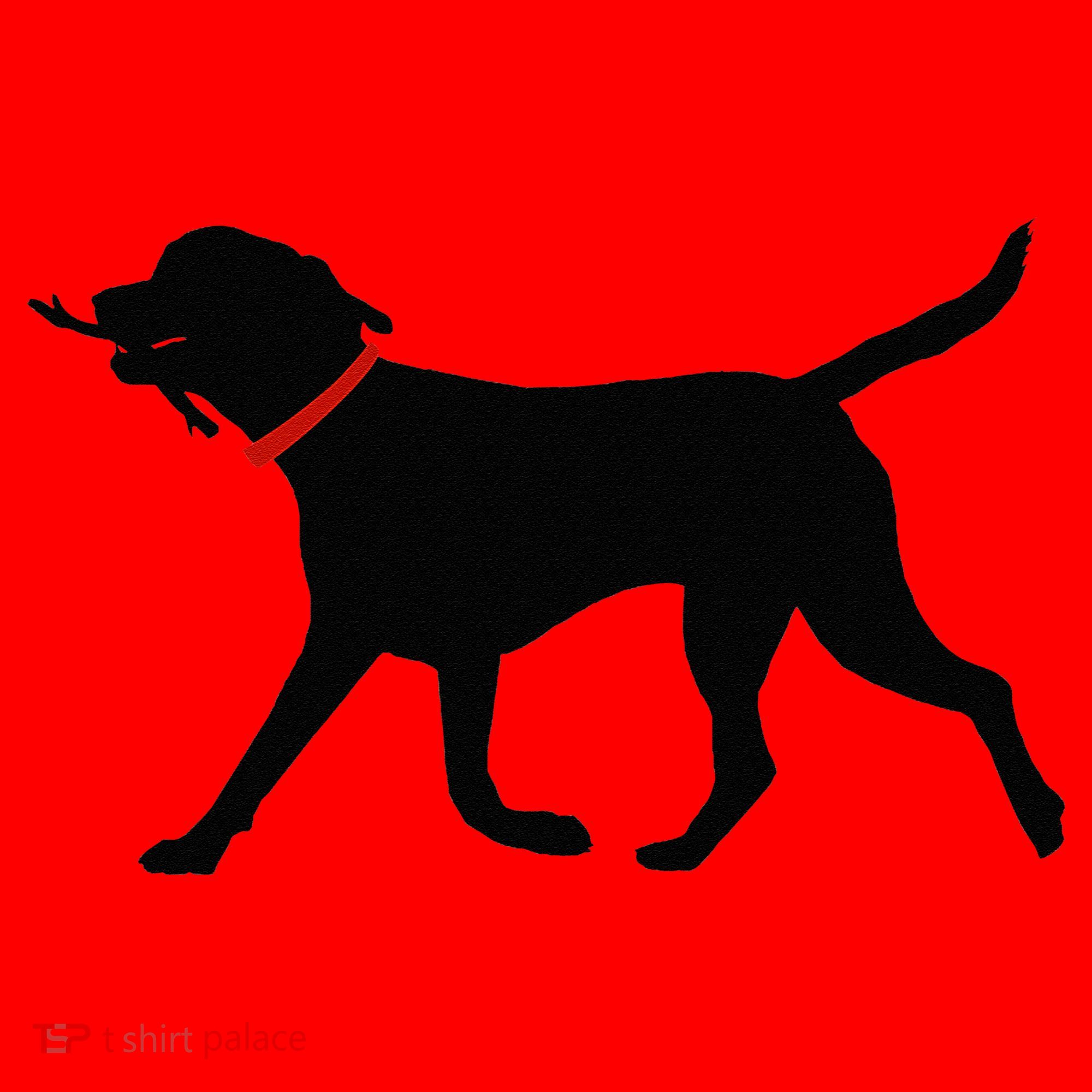 Labrador Retriever Play Fetch Black Lab Santa Hat