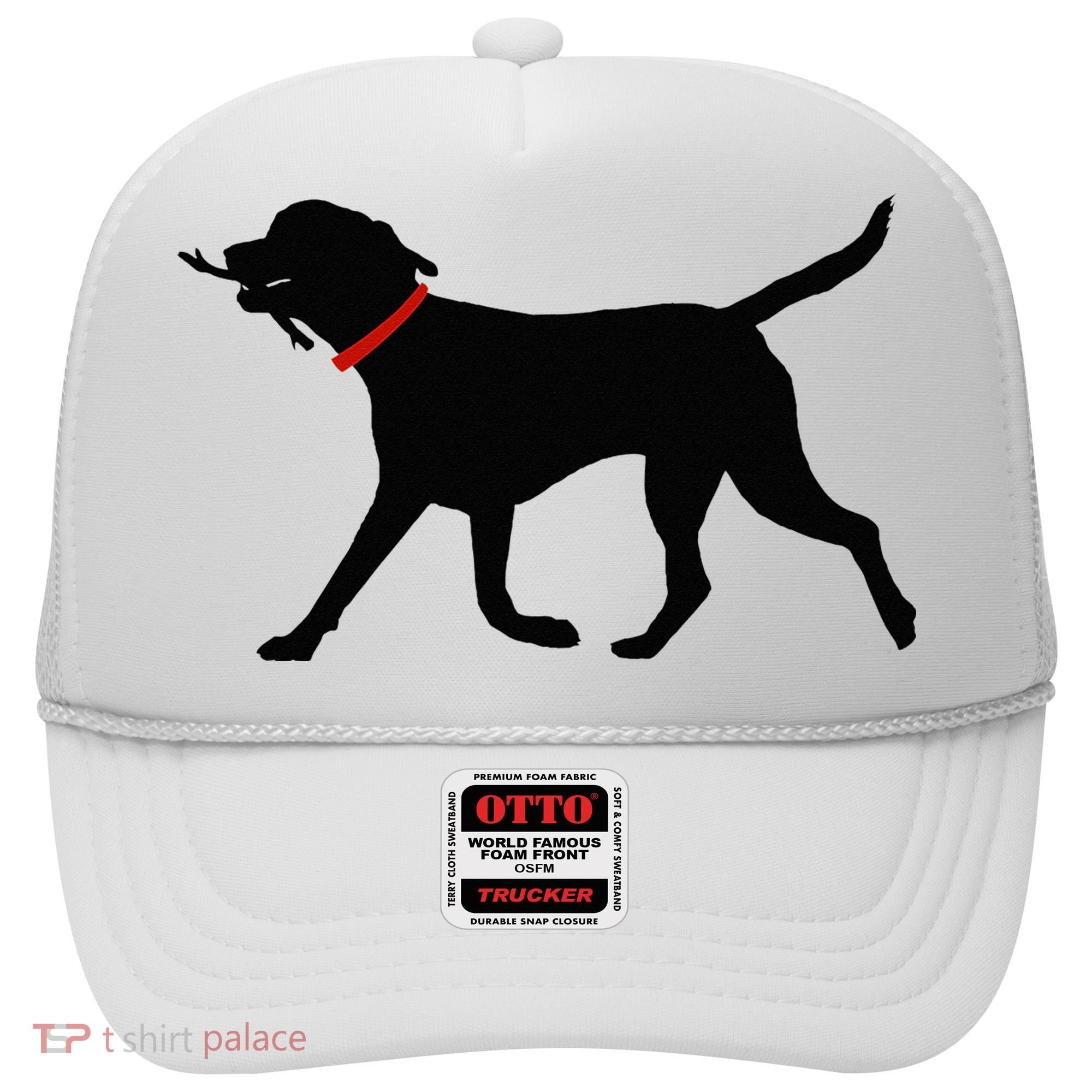 Labrador Retriever Play Fetch Black Lab Hat