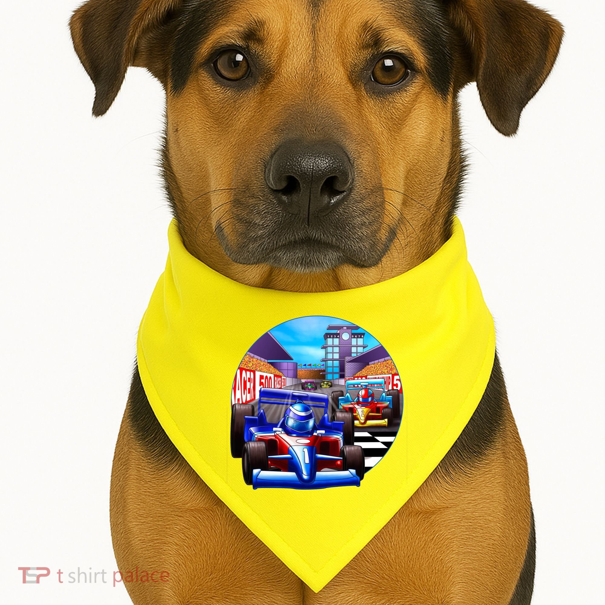 Let's Ride Racing USA-Made Doggie Bandana