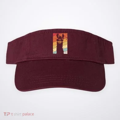 Visor