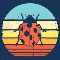 Ladybug Retro Vintage 60s 70s Sunset Bug Insect Men Women T-Shirt thumb 7