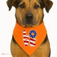 LOVE Red White And Blue Stars And Stripes USA-Made Doggie Bandana thumb 1