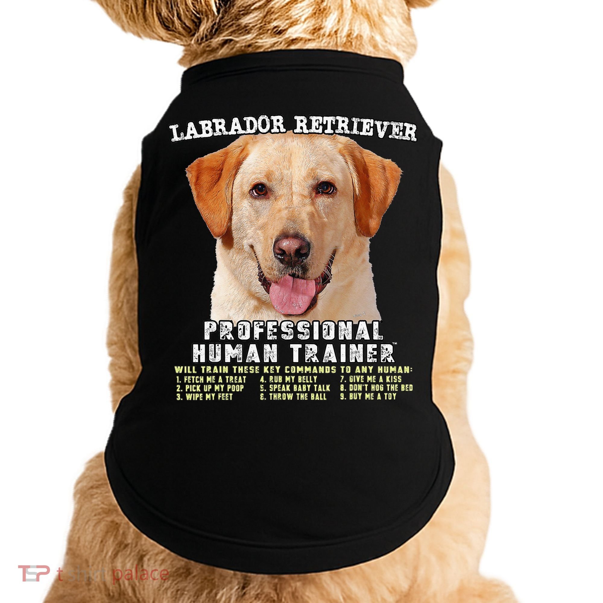 Labrador Retriever Yellow Lab Professional Human Trainer Doggie Tank