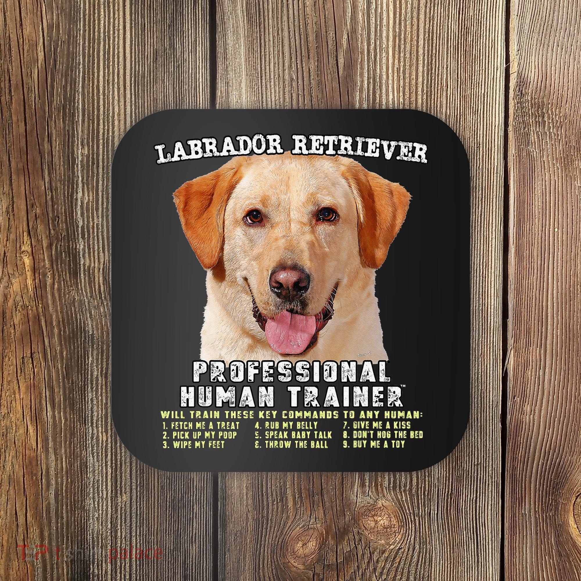 Labrador Retriever Yellow Lab Professional Human Trainer Coaster