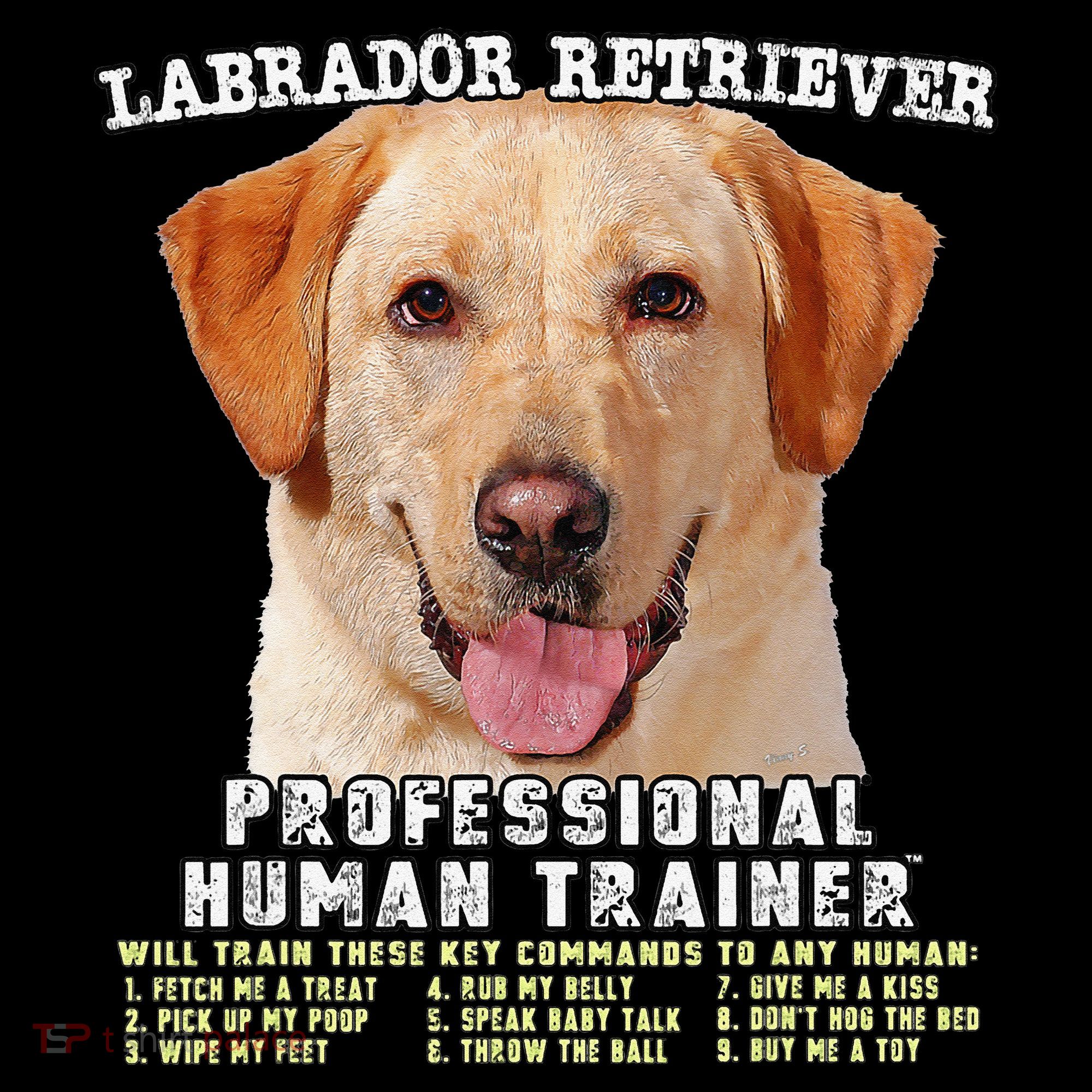Labrador Retriever Yellow Lab Professional Human Trainer Ornament