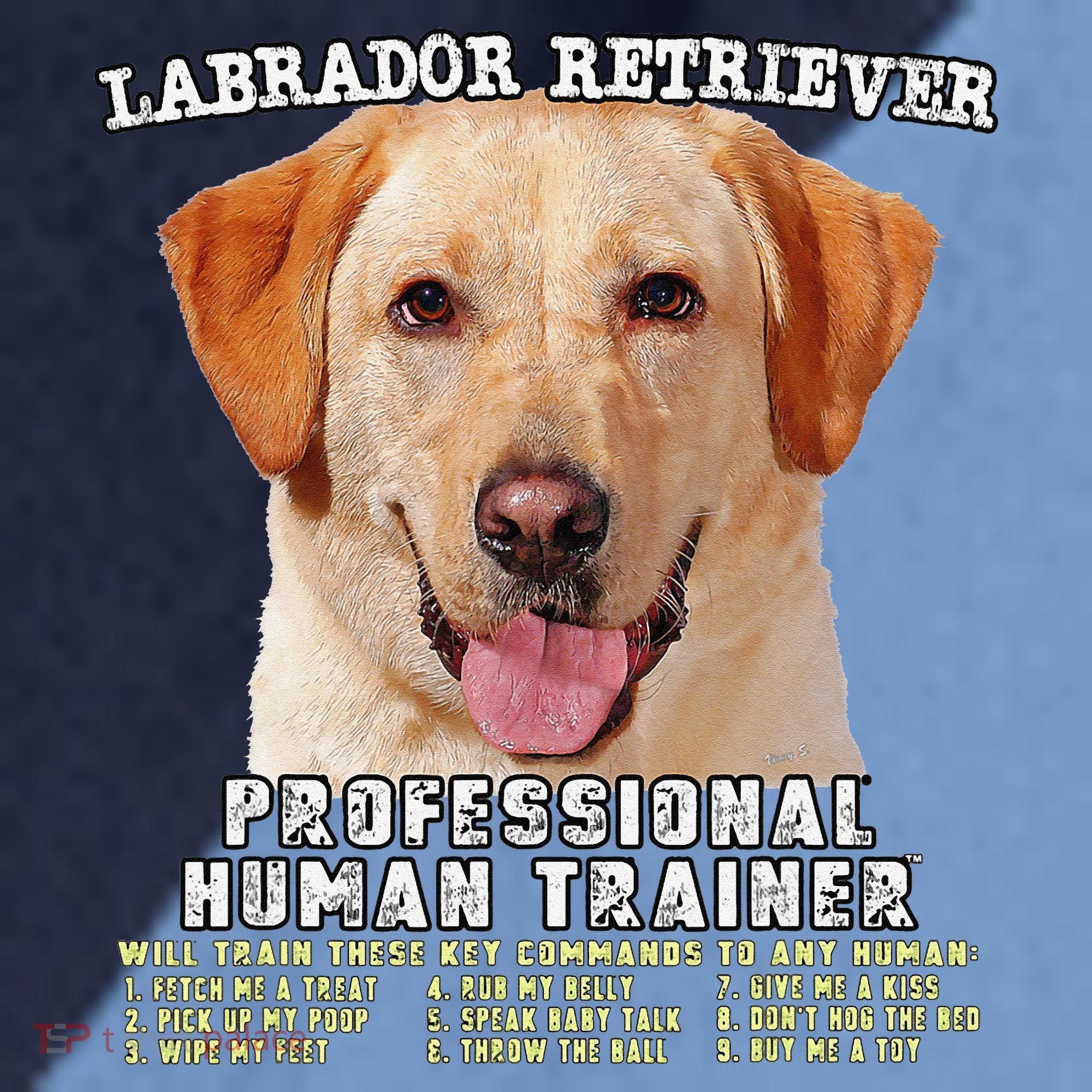 Labrador Retriever Yellow Lab Professional Human Trainer Raglan Baseball Sleeve Shirt