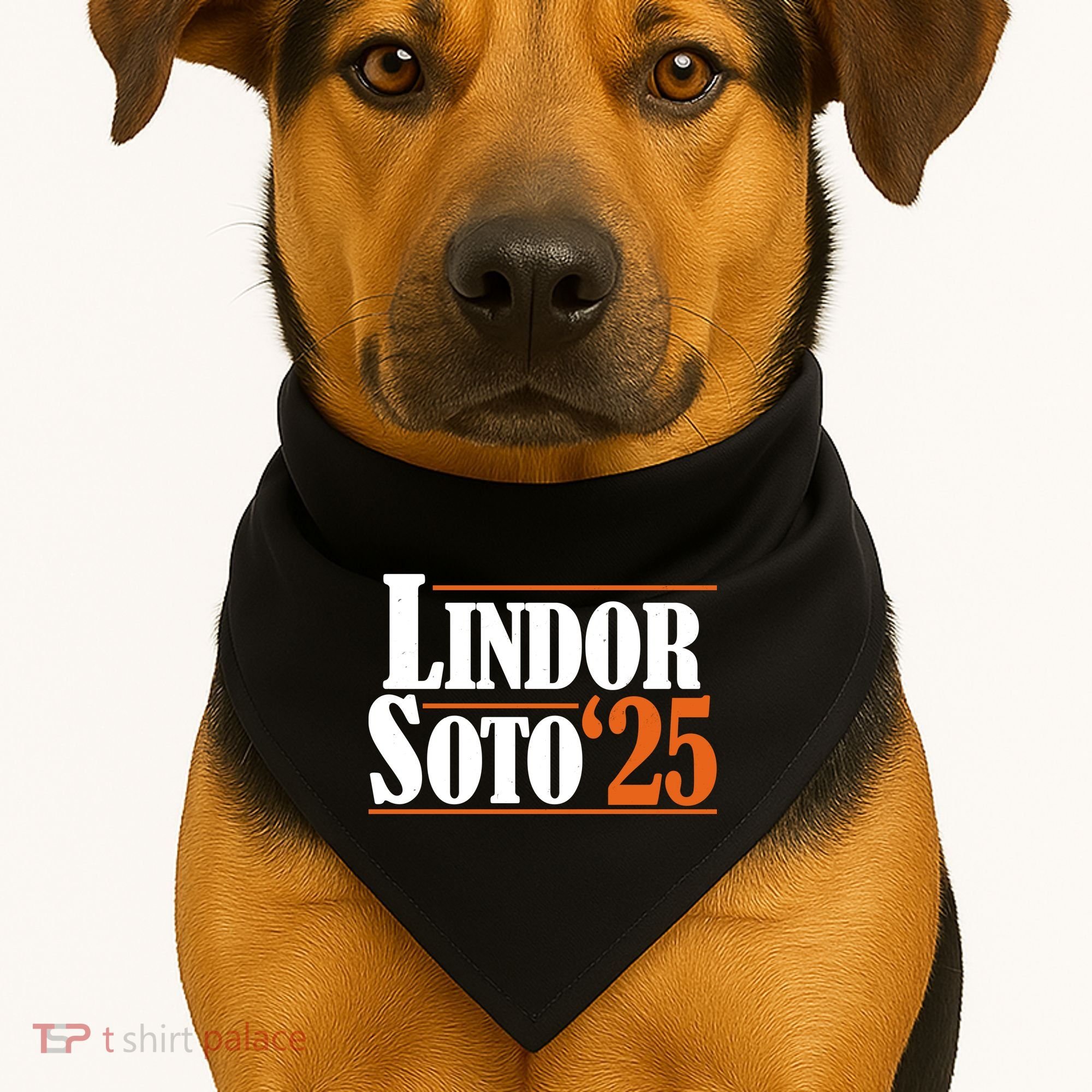 Lindor Soto 25 New York Fan USA-Made Doggie Bandana