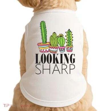 Doggie Tank