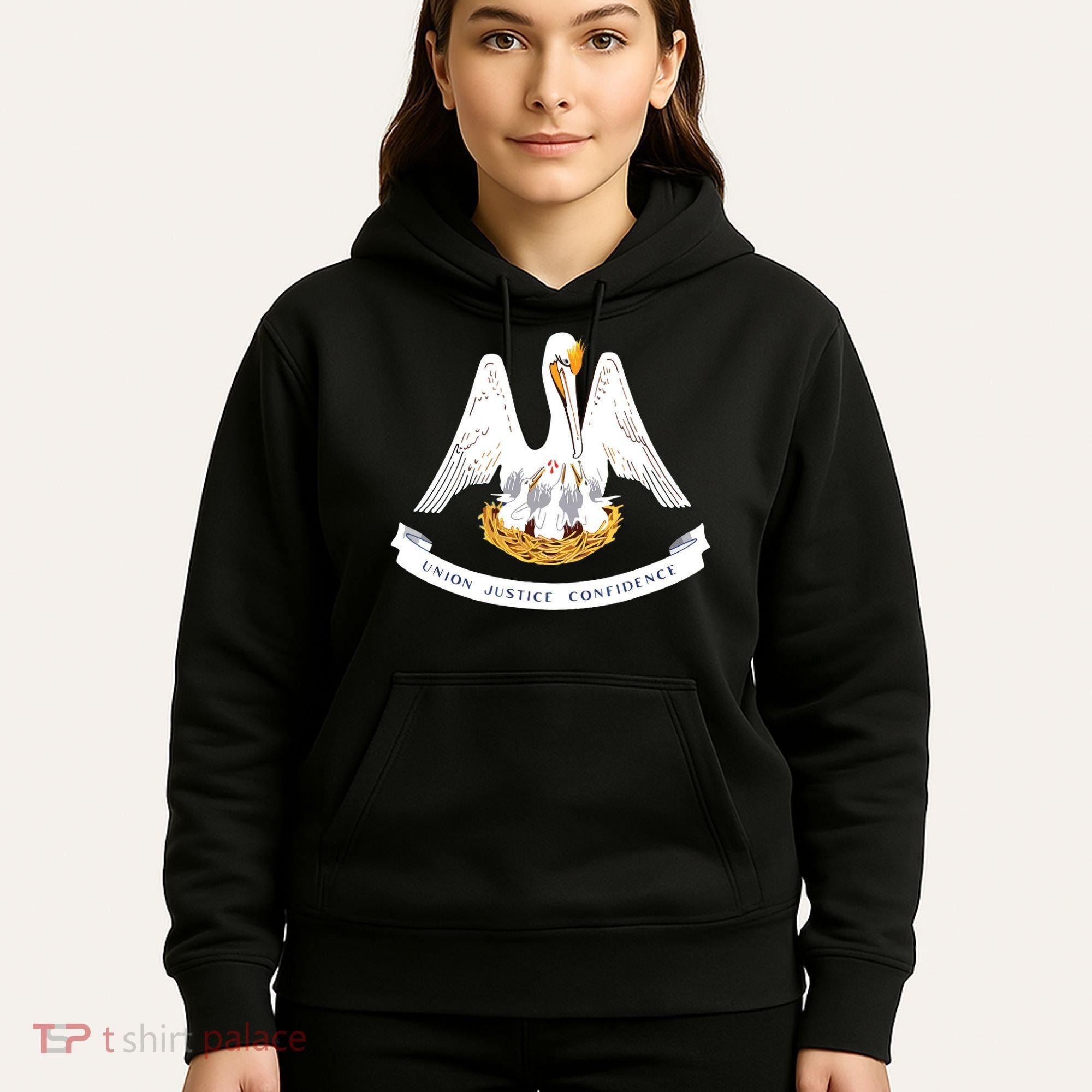 Louisiana State Flag Hoodie
