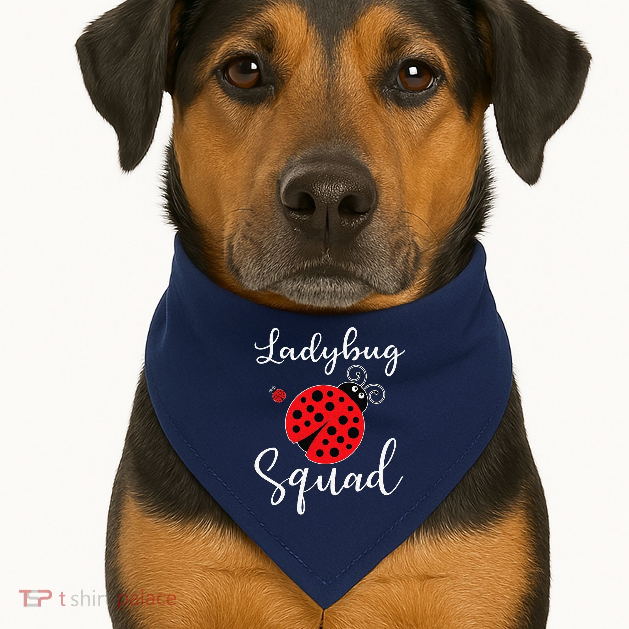Ladybug Squad USA-Made Doggie Bandana