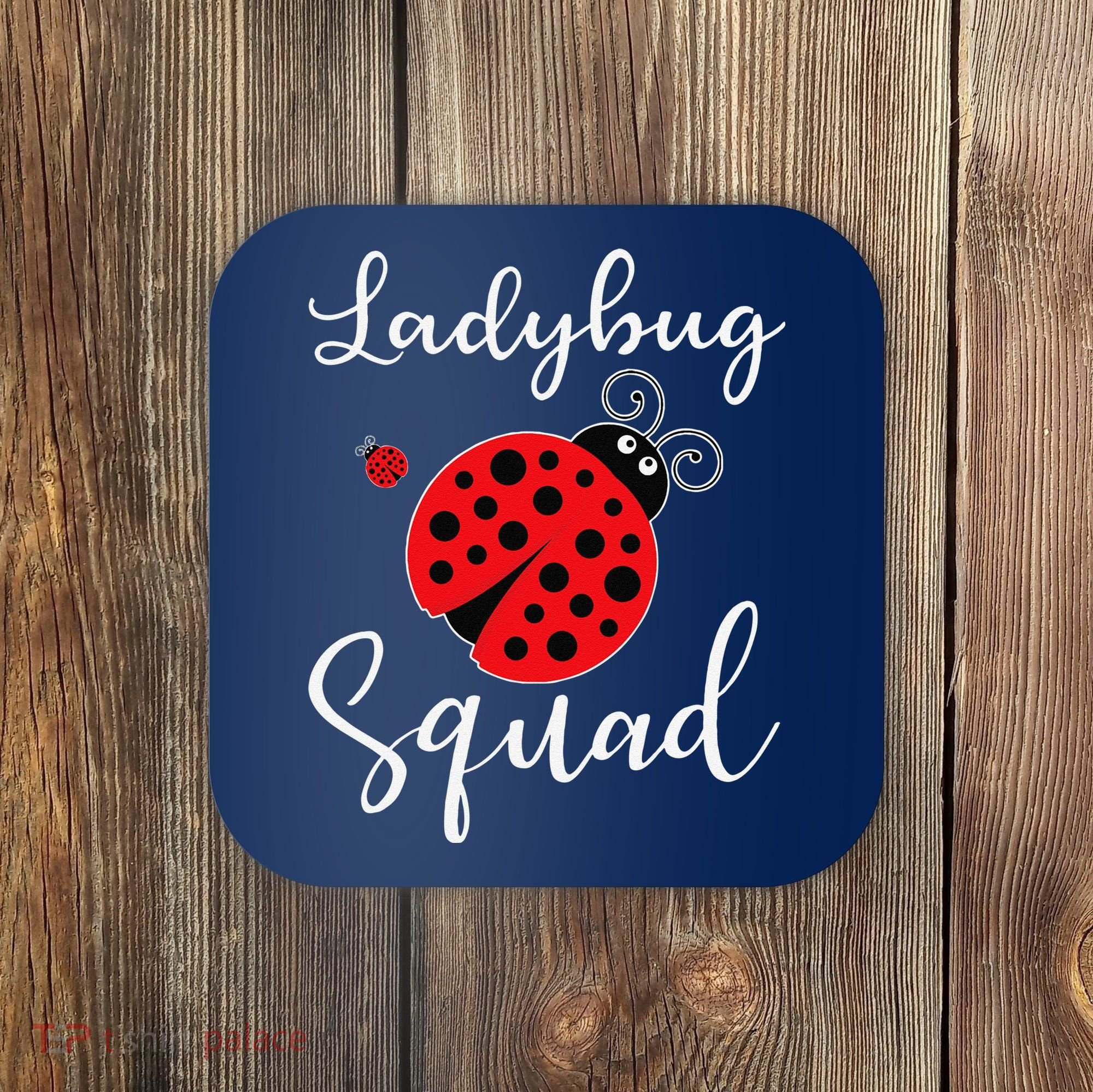 Ladybug Squad Coaster