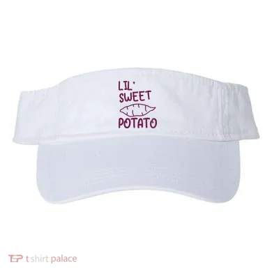 Visor