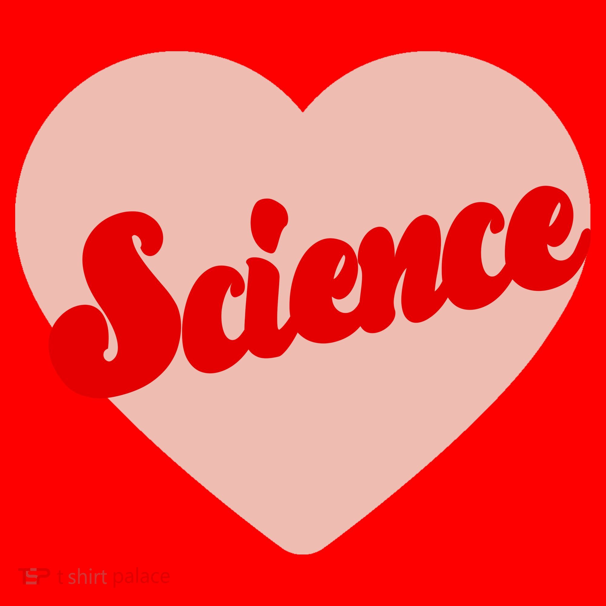 Love Science Retro Heart Santa Hat