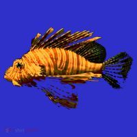 Lionfish Save The Tropical Ocean Reef Coral Lion Fish Gift T-Shirt thumb 7