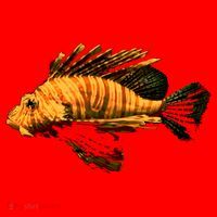 Lionfish Save The Tropical Ocean Reef Coral Lion Fish Gift Santa Hat thumb 1