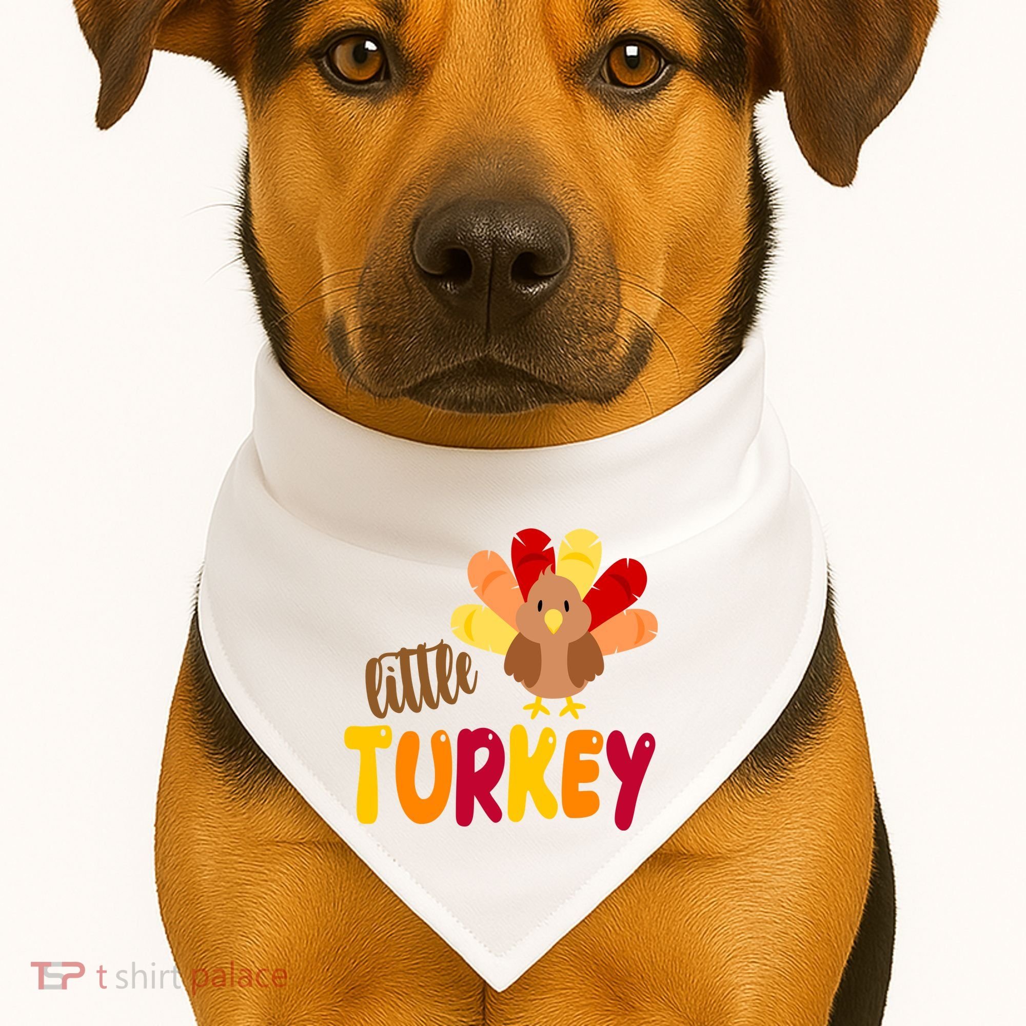 Little Turkey Cute Thanksgiving Holiday USA-Made Doggie Bandana