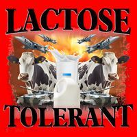 Lactose Tolerant Funny Trending Meme Santa Hat thumb 1