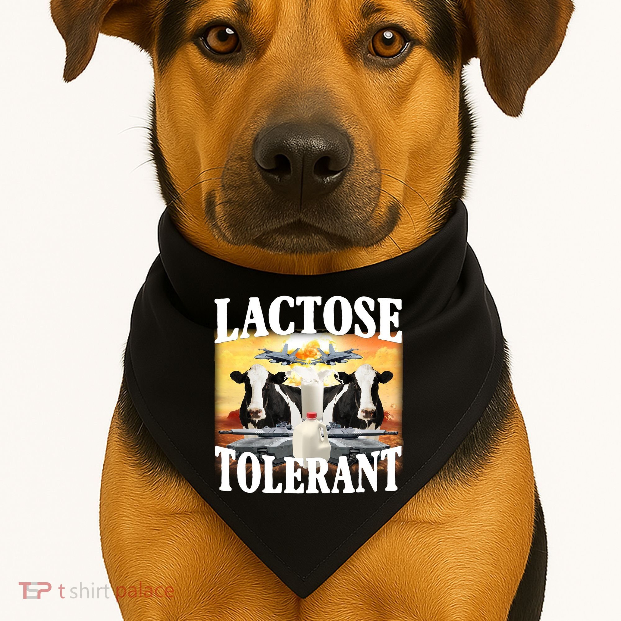 Lactose Tolerant Funny Cow USA-Made Doggie Bandana