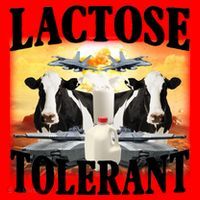Lactose Tolerant Funny Cow Santa Hat thumb 1