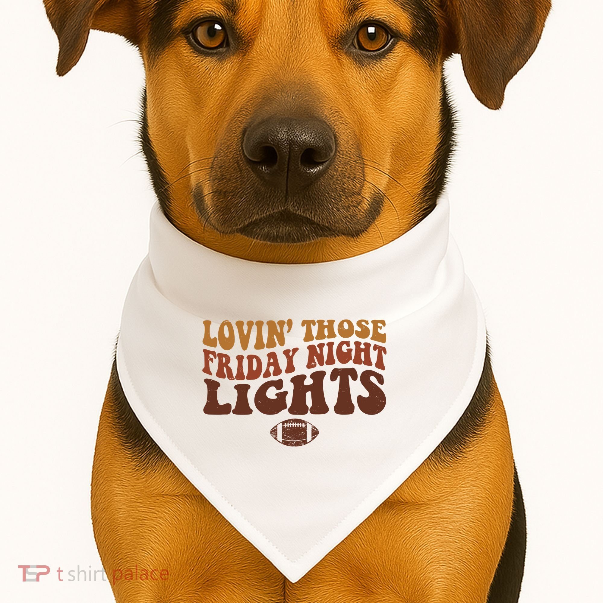Lovin Those Friday Night Lights Football USA-Made Doggie Bandana