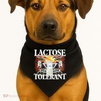 Lactose Tolerant Funny Trending Meme USA-Made Doggie Bandana thumb 1
