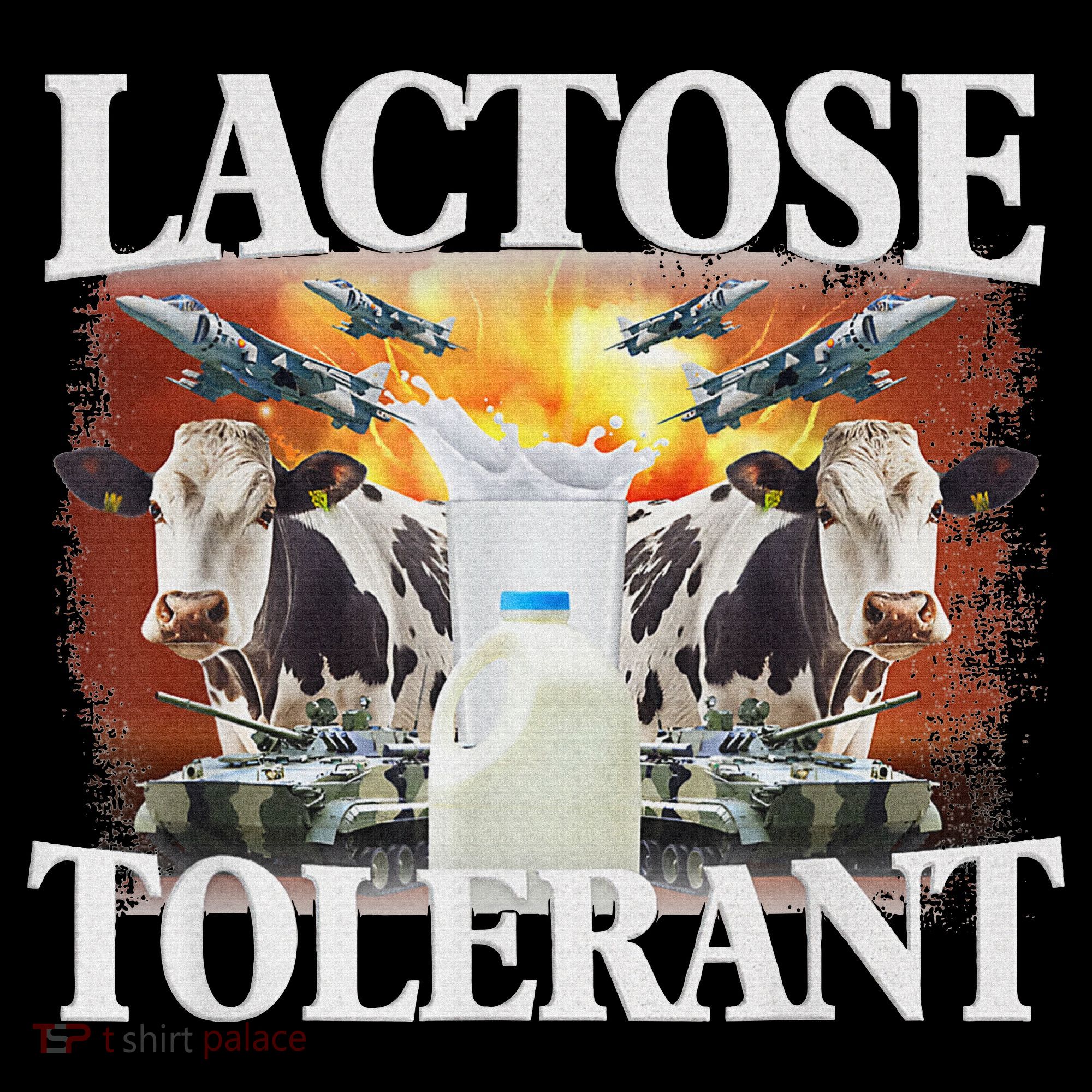 Lactose Tolerant Meme Funny Oddly Specific Dank Meme Coaster
