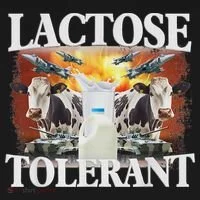 Lactose Tolerant Meme Funny Oddly Specific Dank Meme Toddler Hoodie thumb 2