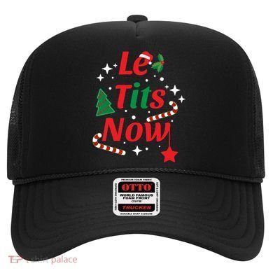 Le Tits Now Funny Christmas Snow Gift Hat